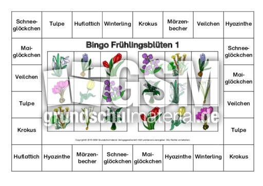 Bingo-Frühlingsblüten-1-B.pdf